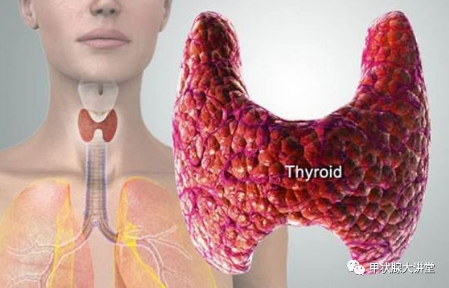 甲状腺结节在临床上十分常见,且以良性病变为主.