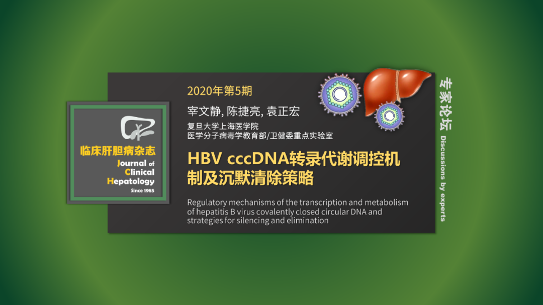 專家論壇｜袁正宏：HBV cccDNA轉錄代謝調控機制及沉默清除策略 健康 第2張