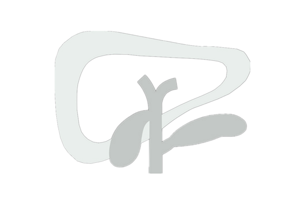 临床肝胆病杂志logo(白色).png