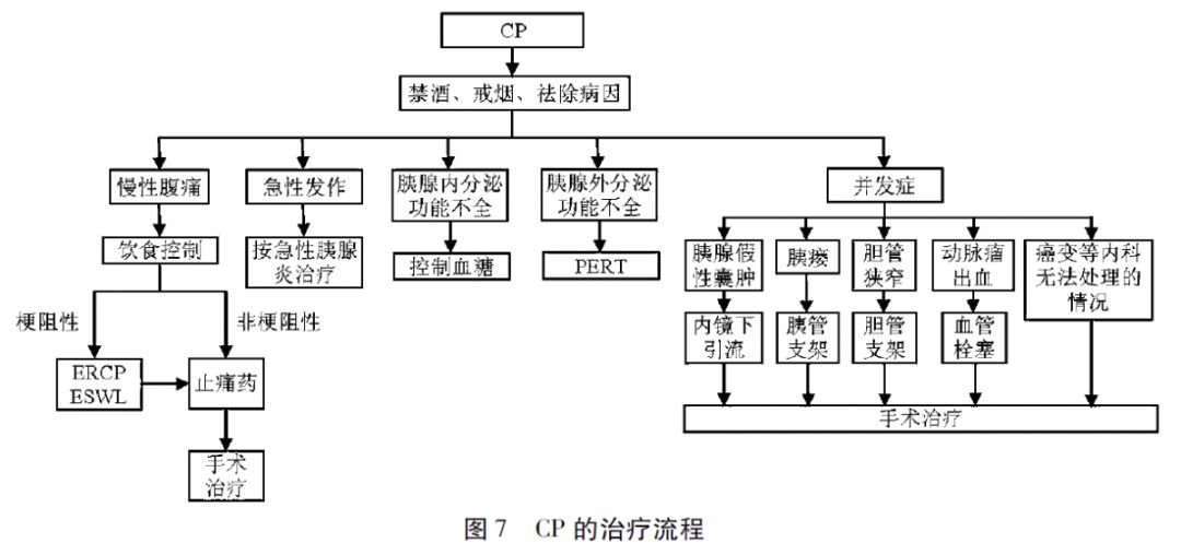 慢性胰腺炎診治指南（2018，廣州） 健康 第9張