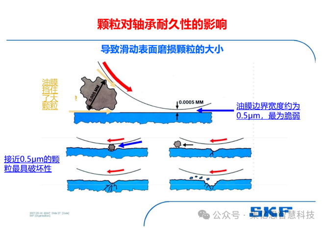 微信图片_20251013101136