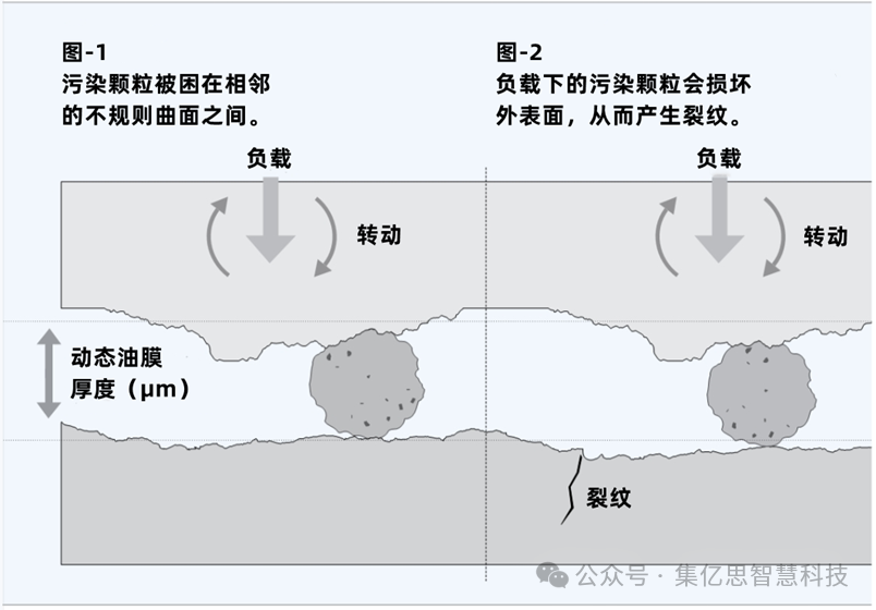 微信图片_20251017103008