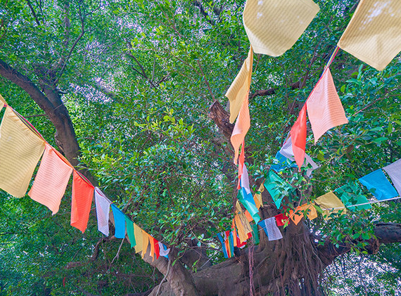 渔夫寻宝系列_渔夫寻宝TXT小说免费下载_渔夫寻宝