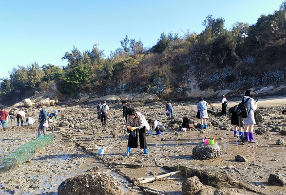 渔夫寻宝_渔夫寻宝系列_渔夫寻宝TXT小说免费下载