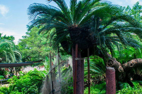 渔夫寻宝_渔夫寻宝TXT小说免费下载_渔夫寻宝系列