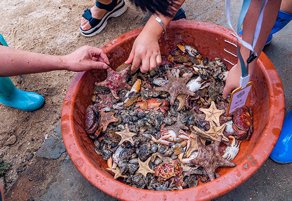 渔夫寻宝系列_渔夫寻宝_渔夫寻宝TXT小说免费下载