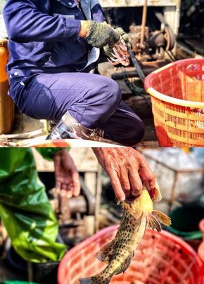 渔夫寻宝_渔夫寻宝系列_渔夫寻宝TXT小说免费下载