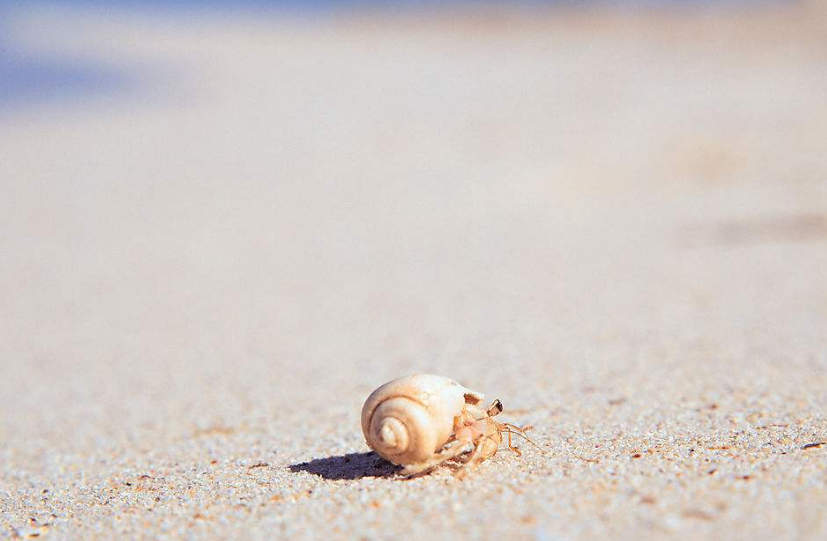 渔夫寻宝TXT小说免费下载_渔夫寻宝系列_渔夫寻宝