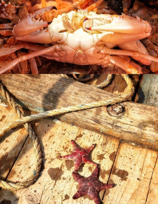 渔夫寻宝TXT小说免费下载_渔夫寻宝系列_渔夫寻宝