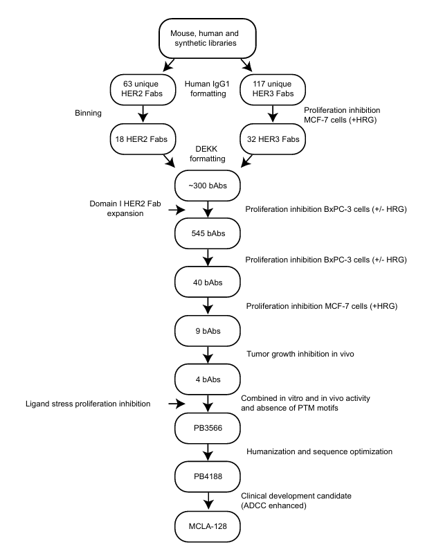 ABS什么药HER3终成药：HER2／HER3双抗Zenocutuzumab获FDA批准上市_https://www.jmylbn.com_新闻资讯_第4张