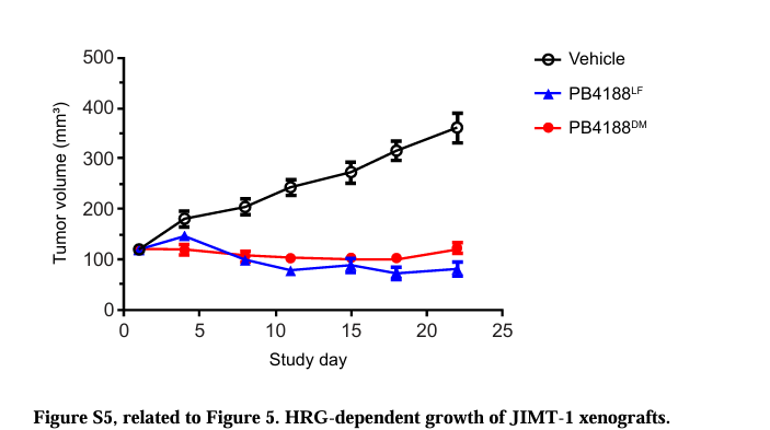 ABS什么药HER3终成药：HER2／HER3双抗Zenocutuzumab获FDA批准上市_https://www.jmylbn.com_新闻资讯_第7张