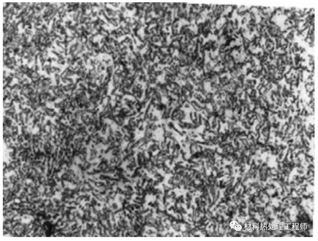 碳钢热处理后的组织分析的图11