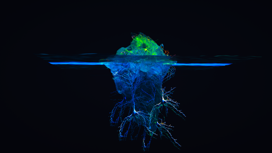 AI读心重磅突破登Nature！大脑信号1秒被看穿，还能预测未来画面的图10