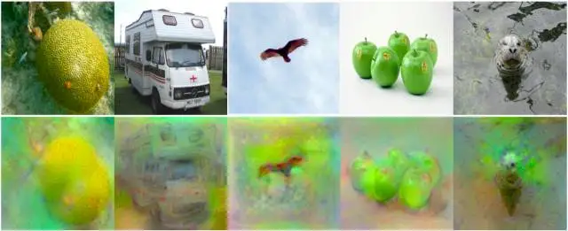 from Aravindh Mahendran, Andrea Vedaldi, Understanding Deep Image Representations by Inverting Them, CVPR, 2015.