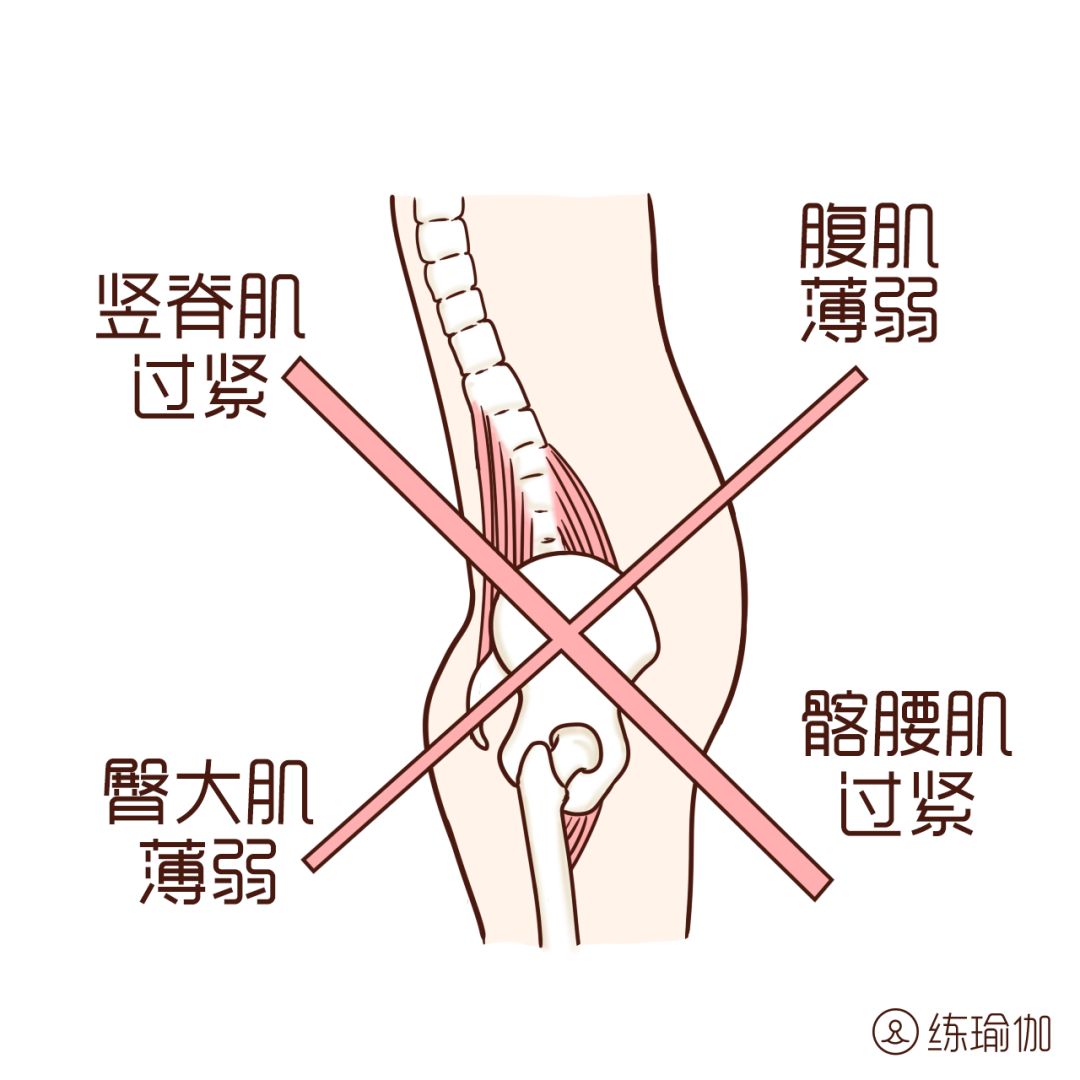 收胯收陰 矯正骨盆前傾 讓陰道恢復緊緻 每天10分鐘滋養子宮 練瑜伽 微文庫