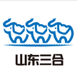山东三合信息技术有限公司