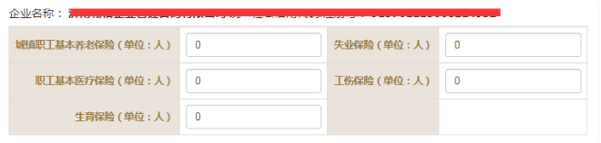 本期实际缴费金额是什么意思_本期实际缴费金额怎么填_本期实际缴费金额