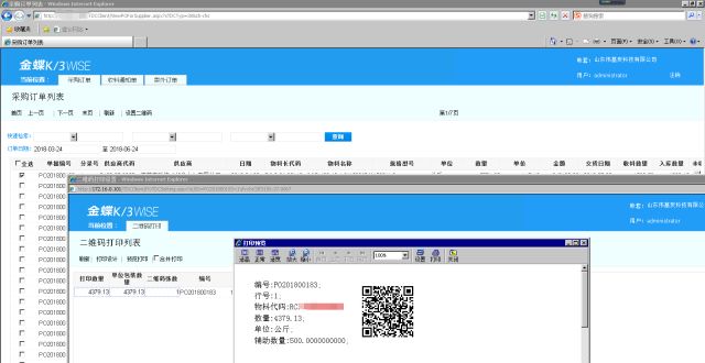 重磅出击! K/3阿米巴+WMS激起炭材料行业数字化管理新浪潮