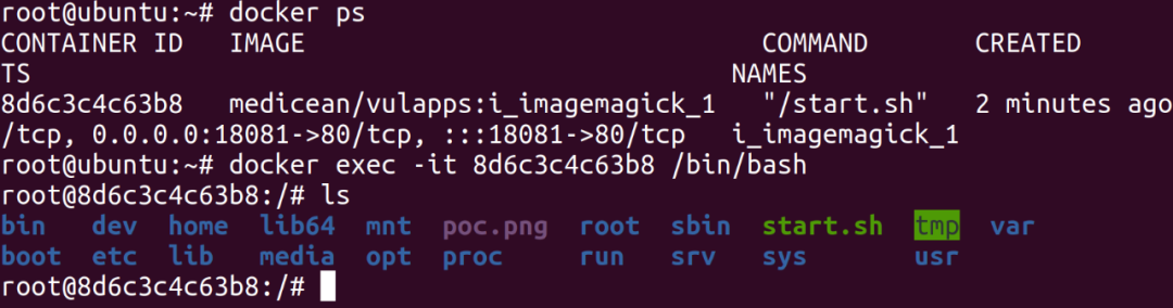 图13–突破disable_functions限制执行命令·下–seo优化_前端开发_渗透技术