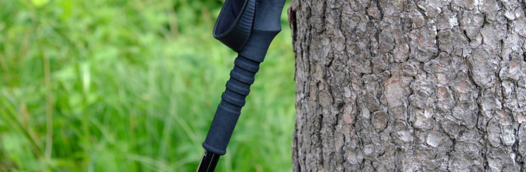 四脚拐杖什么牌子老年人首选四脚拐杖_https://www.jmylbn.com_新闻资讯_第6张