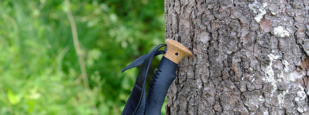 四脚拐杖什么牌子老年人首选四脚拐杖_https://www.jmylbn.com_新闻资讯_第5张