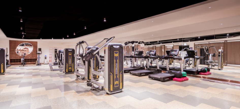 成都非遗博览园缇沃丽酒店_成都非遗博物园_合肥非遗园观后感