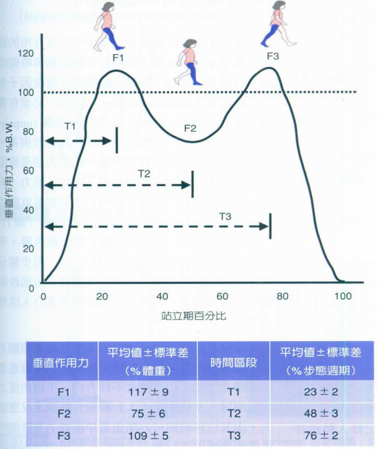 步态分析上曲线怎么解读快速搞懂步态分析系列1｜步态周期的相关介绍（大量丰富图表供参考）_https://www.jmylbn.com_新闻资讯_第16张