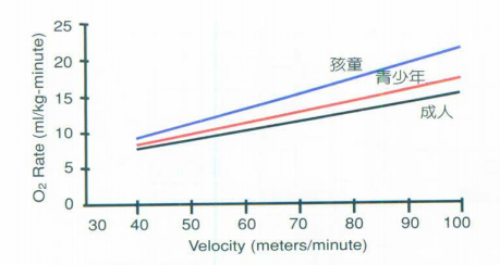 步态分析上曲线怎么解读快速搞懂步态分析系列1｜步态周期的相关介绍（大量丰富图表供参考）_https://www.jmylbn.com_新闻资讯_第10张