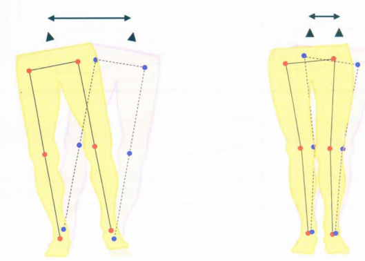 步态分析上曲线怎么解读快速搞懂步态分析系列1｜步态周期的相关介绍（大量丰富图表供参考）_https://www.jmylbn.com_新闻资讯_第14张