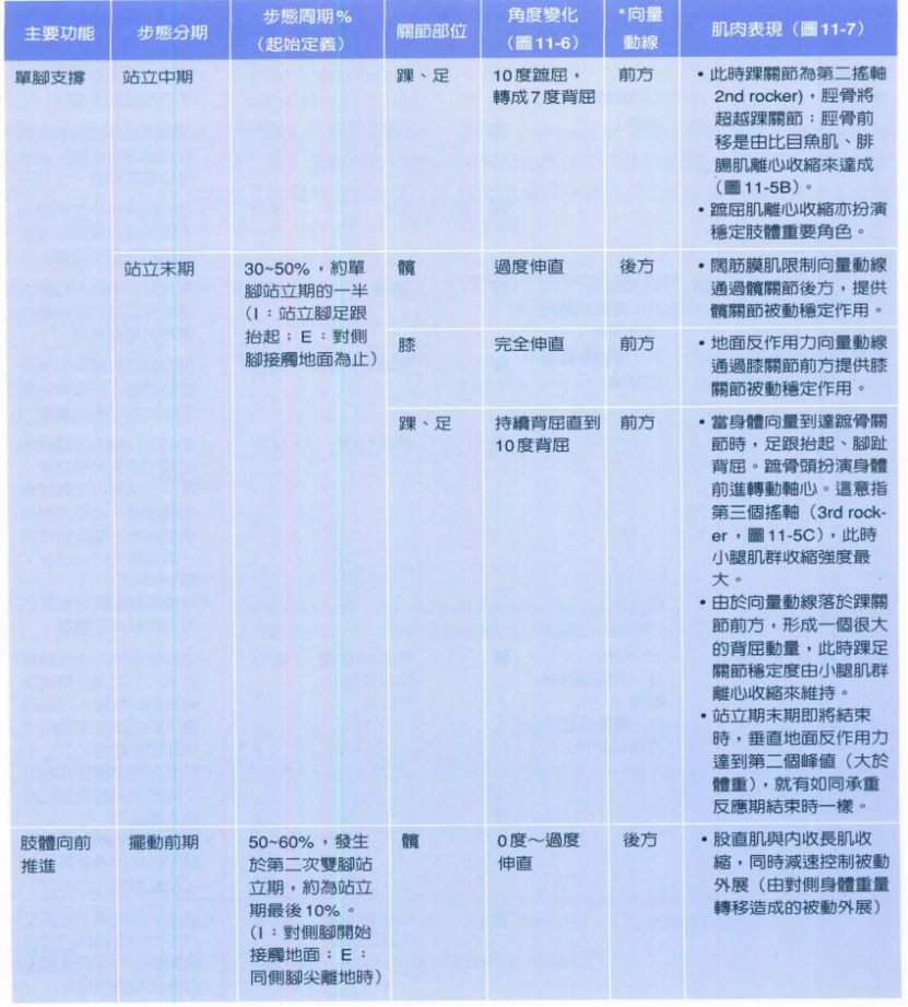 步态分析上曲线怎么解读快速搞懂步态分析系列1｜步态周期的相关介绍（大量丰富图表供参考）_https://www.jmylbn.com_新闻资讯_第7张