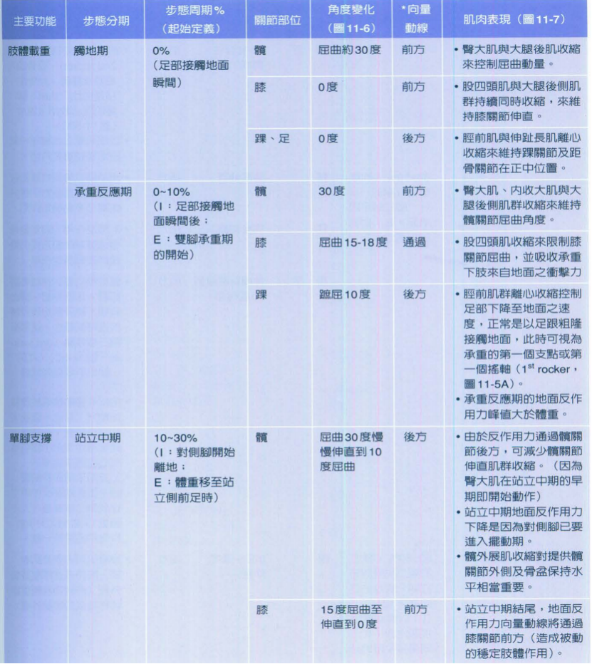 步态分析上曲线怎么解读快速搞懂步态分析系列1｜步态周期的相关介绍（大量丰富图表供参考）_https://www.jmylbn.com_新闻资讯_第6张