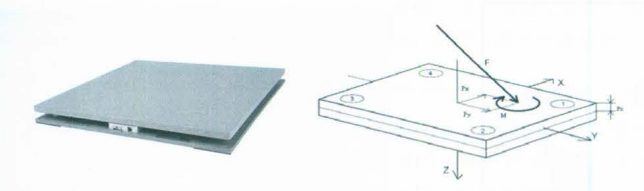 步态分析上曲线怎么解读快速搞懂步态分析系列2｜如何用简单快速的方法学会步态分析？（大量丰富图表供参考）_https://www.jmylbn.com_新闻资讯_第5张