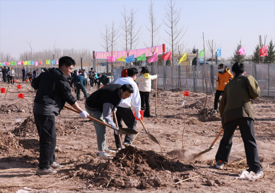 绿美粤新广东援疆队伍在喀什种下同心林
