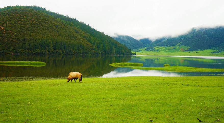 第26期：雲南12時辰，入迷不止一點點！ 旅遊 第20張