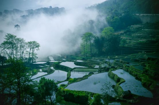 第26期：雲南12時辰，入迷不止一點點！ 旅遊 第34張