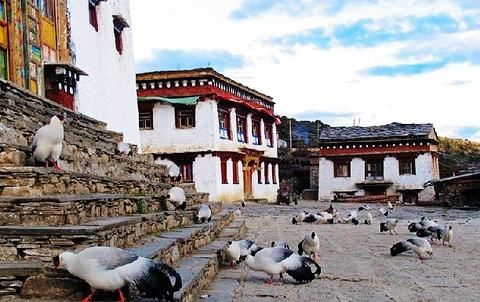 第24期：稻城亞丁最值得遊覽的8大寺廟景點 旅遊 第10張