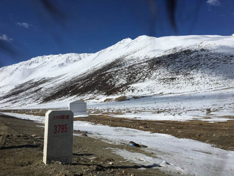 藏地花事 旅遊 第11張