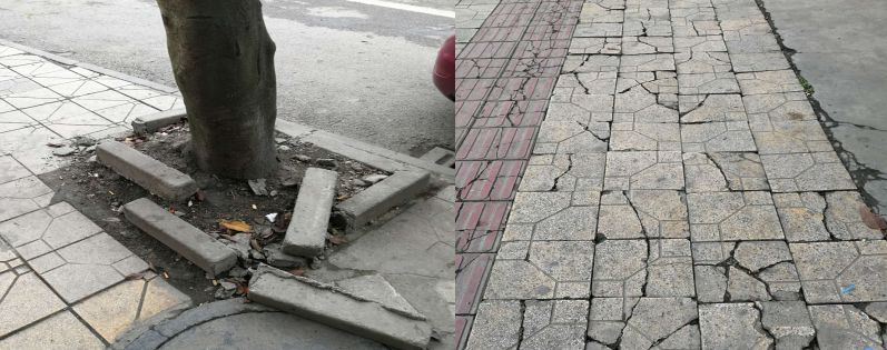 双流这些地方将要大变样！颜值飙升，出行便利~