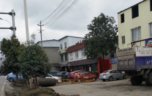 双流这些地方将要大变样！颜值飙升，出行便利~