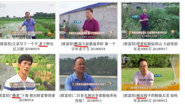 家庭致富小项目_致富经致富经_致富经创业项目农村