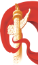 640 (7)