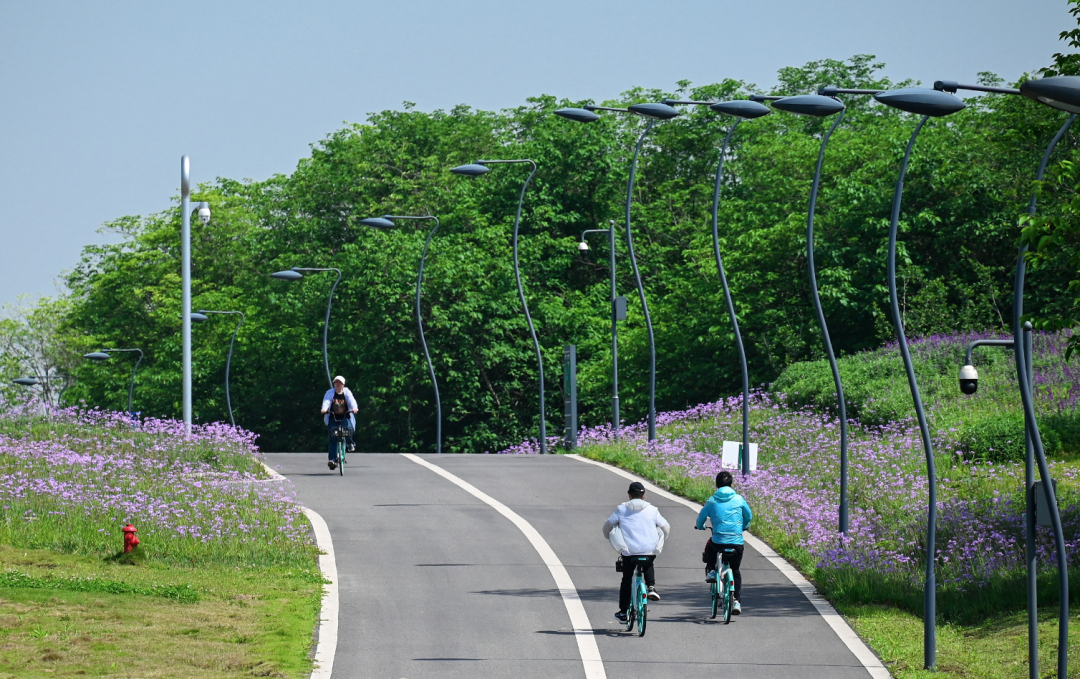 车辆限速骑行管理行为规范如何安全文明骑行环城生态区绿道骑行新规
