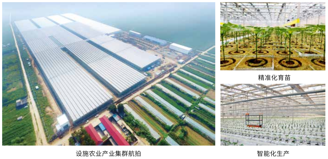 现代设施农业|垂直农场