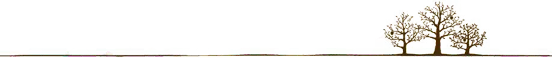 登录查看大图