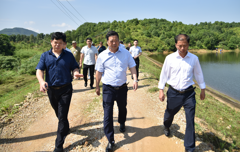 余江区人民政府网站 余江动态 罗卫国检查防汛和地质灾害隐患点防治