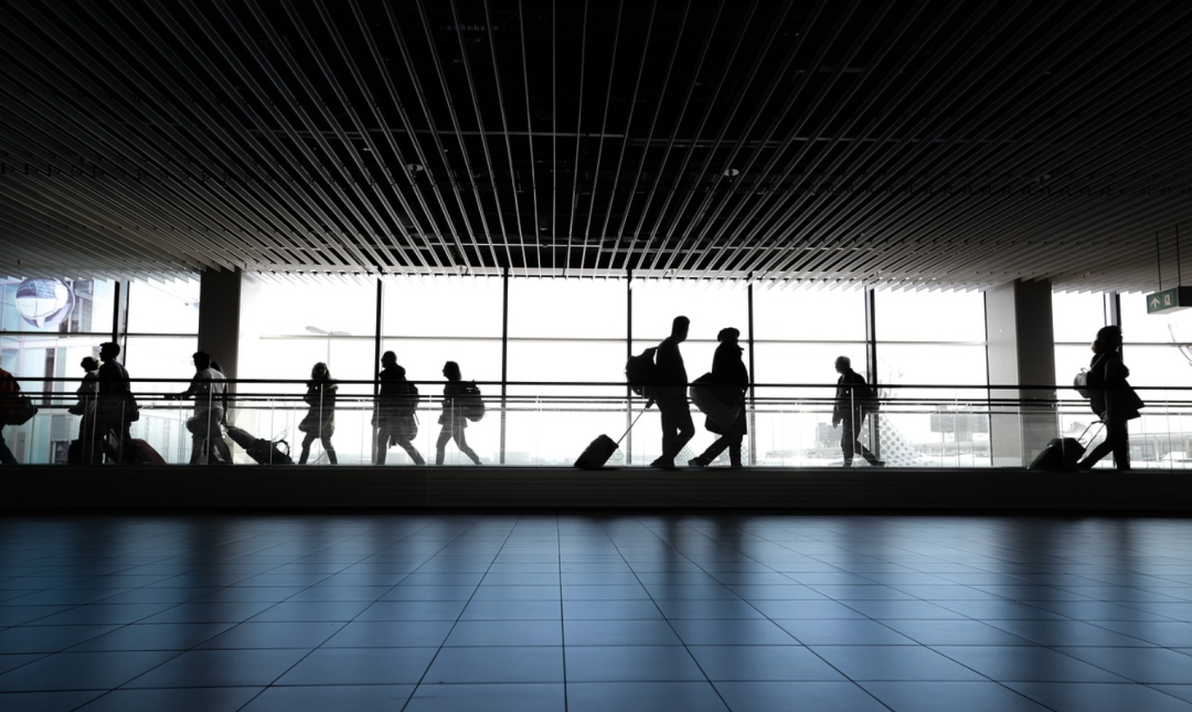 �ൺ������������9�ˣ�Ŀǰ������6���¹�ȷ�� | С���籨