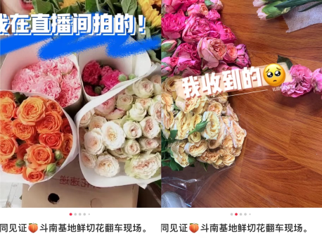 玫瑰节是什么_节日的玫瑰花_节日玫瑰花