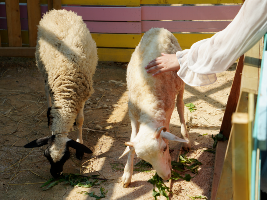 床垫哪种好品牌慕思床垫_慕思床价位_慕思床属于什么档次