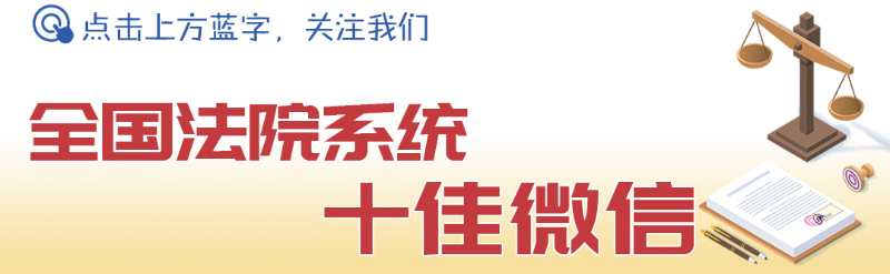 小思说法我秃不秃，植没植发，雨你无瓜！