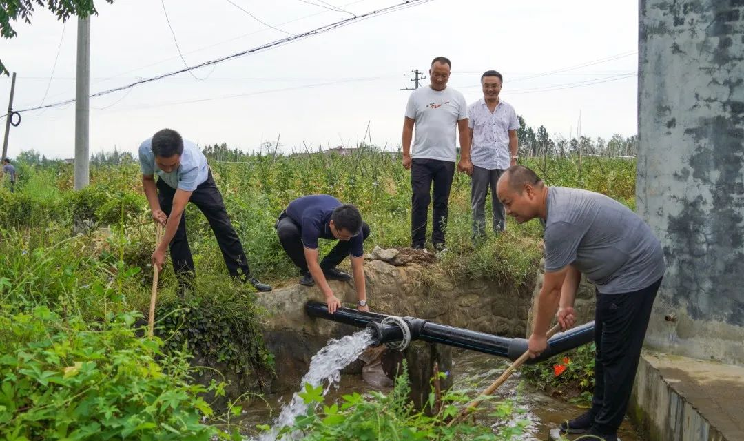 守好“汉中粮仓”！已累计浇灌66.2万亩次